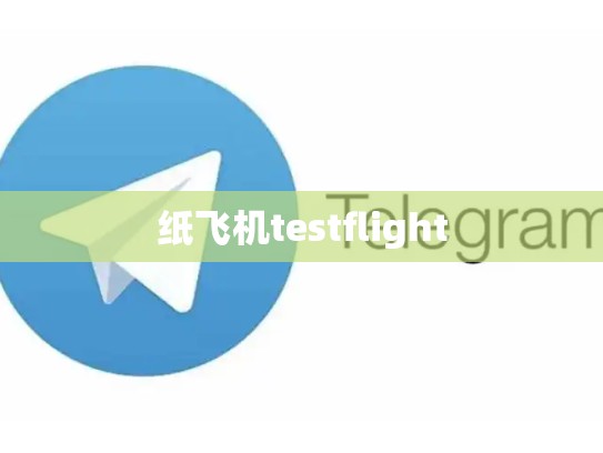 纸飞机testflight