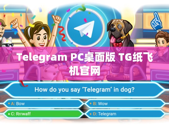 Telegram PC桌面版 TG纸飞机官网
