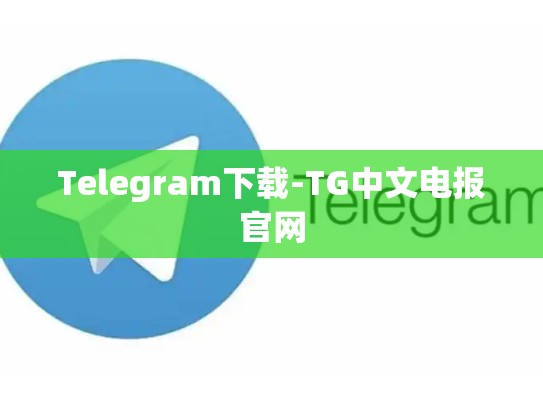 Telegram下载-TG中文电报官网