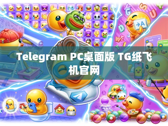 Telegram PC桌面版 TG纸飞机官网