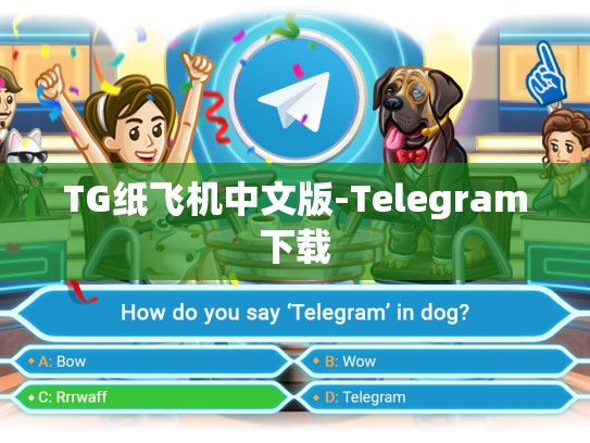 TG纸飞机中文版-Telegram下载