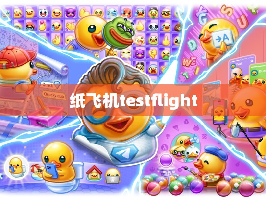 纸飞机testflight