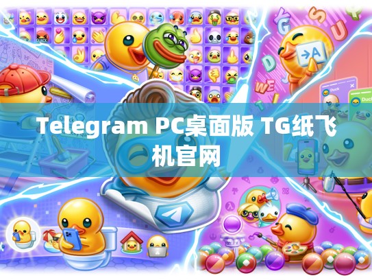 Telegram PC桌面版 TG纸飞机官网