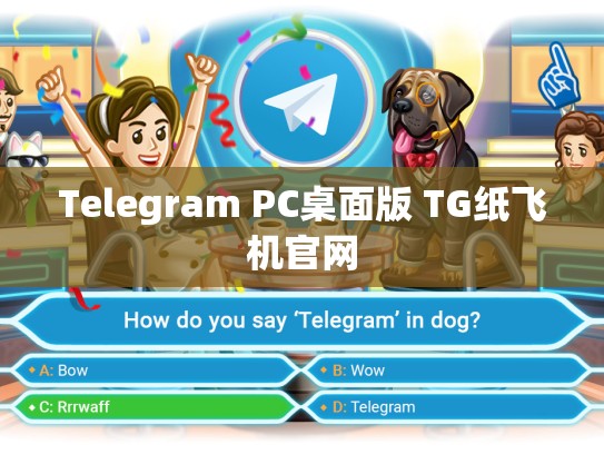 Telegram PC桌面版 TG纸飞机官网