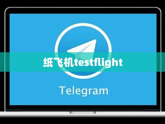 纸飞机testflight