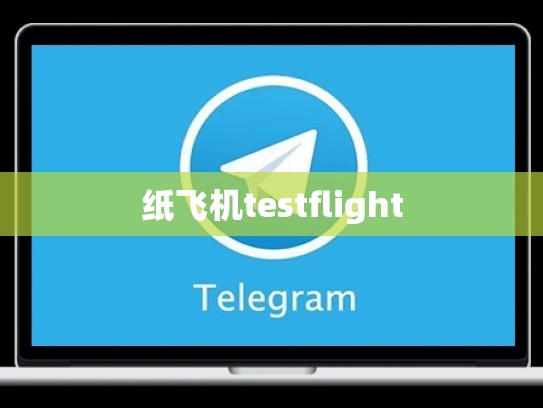 纸飞机testflight