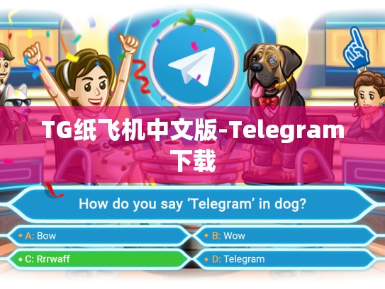 TG纸飞机中文版-Telegram下载