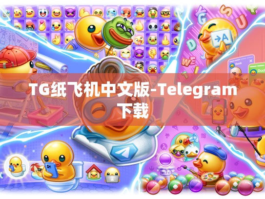 TG纸飞机中文版-Telegram下载