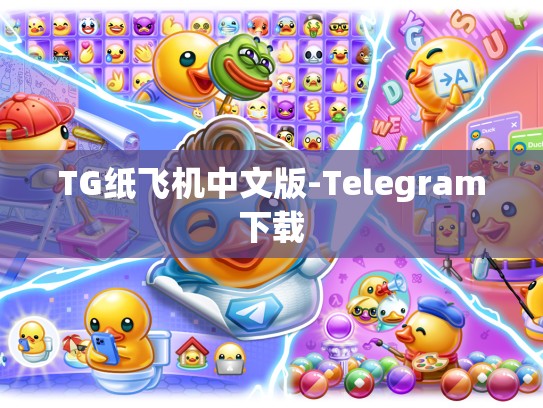 TG纸飞机中文版-Telegram下载