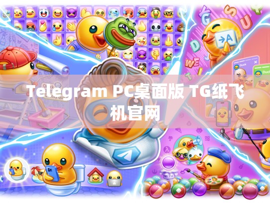 Telegram PC桌面版 TG纸飞机官网