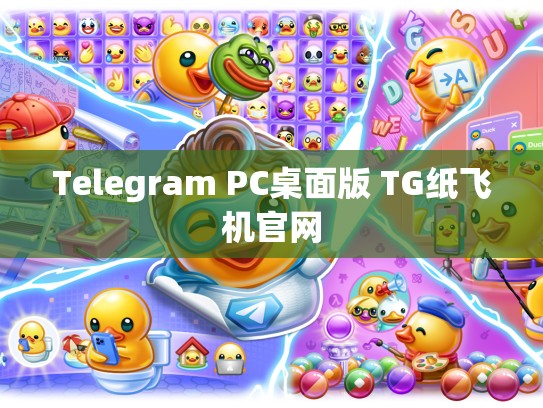 Telegram PC桌面版 TG纸飞机官网