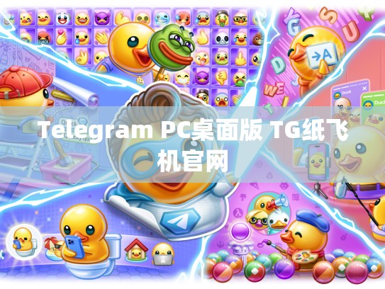 Telegram PC桌面版 TG纸飞机官网