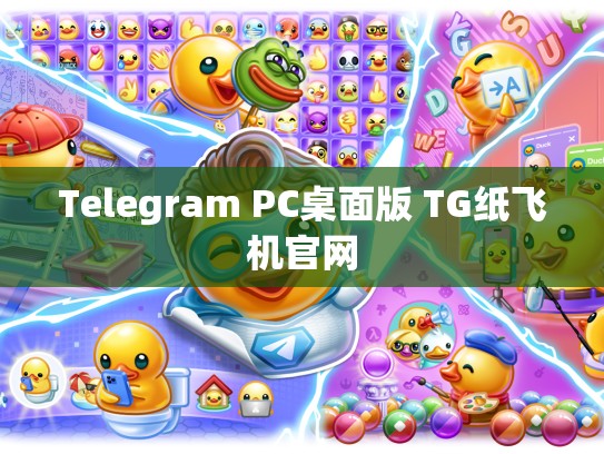 Telegram PC桌面版 TG纸飞机官网