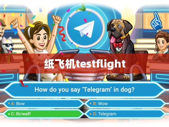 纸飞机testflight