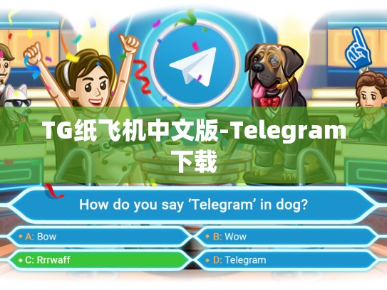 TG纸飞机中文版-Telegram下载