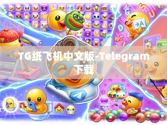 TG纸飞机中文版-Telegram下载