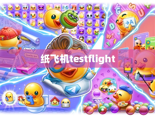 纸飞机testflight