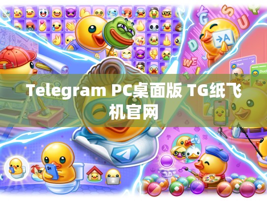 Telegram PC桌面版 TG纸飞机官网