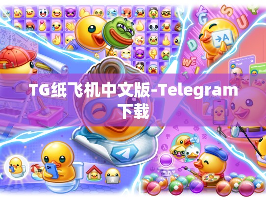 TG纸飞机中文版-Telegram下载