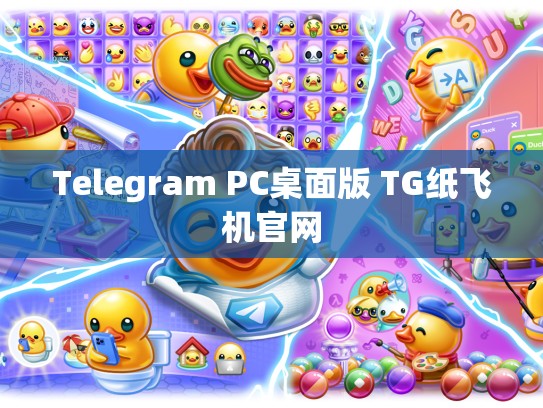 Telegram PC桌面版 TG纸飞机官网