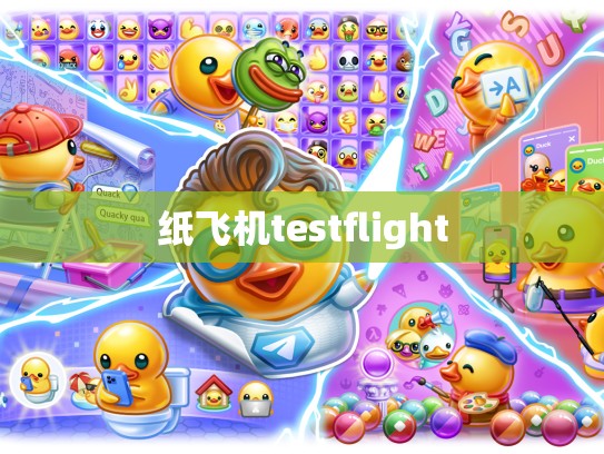 纸飞机testflight