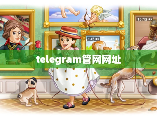 telegram管网网址