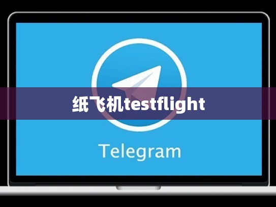 纸飞机testflight