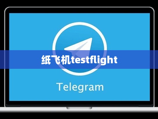 纸飞机testflight