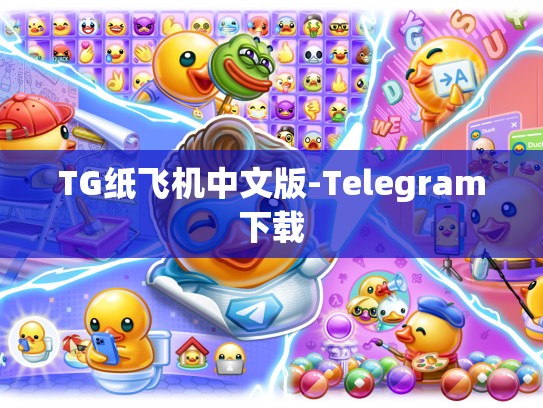 TG纸飞机中文版-Telegram下载