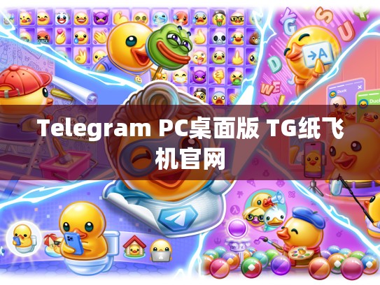 Telegram PC桌面版 TG纸飞机官网