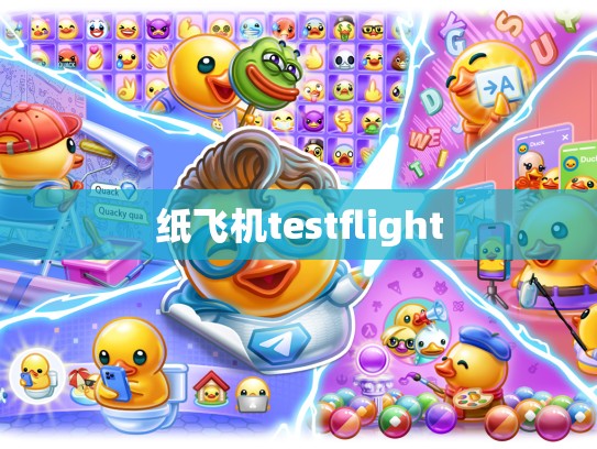 纸飞机testflight
