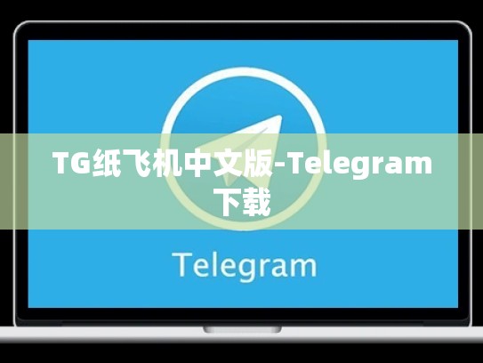 TG纸飞机中文版-Telegram下载