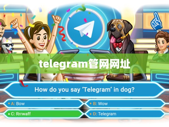 telegram管网网址