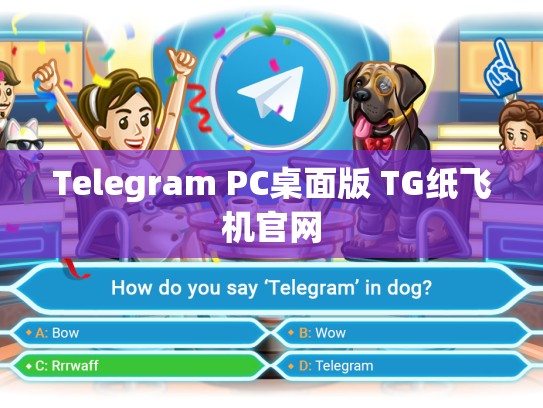 Telegram PC桌面版 TG纸飞机官网