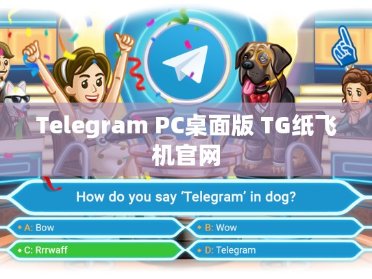 Telegram PC桌面版 TG纸飞机官网