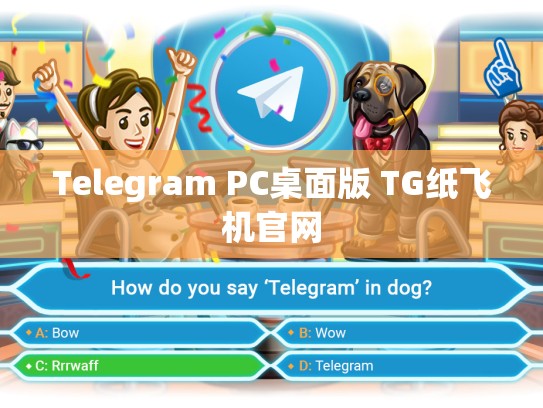 Telegram PC桌面版 TG纸飞机官网