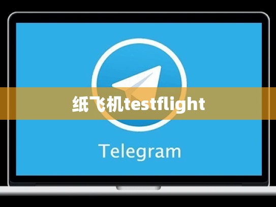 纸飞机testflight