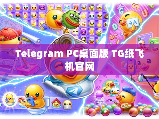 Telegram PC桌面版 TG纸飞机官网