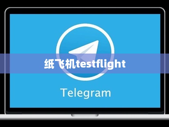 纸飞机testflight