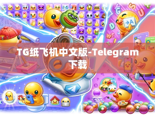 TG纸飞机中文版-Telegram下载