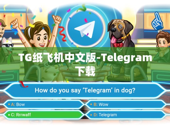 TG纸飞机中文版-Telegram下载