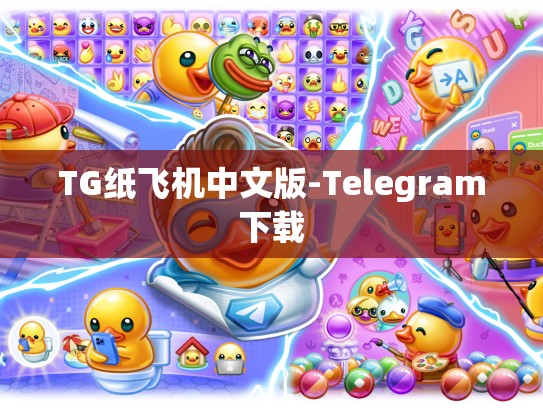 TG纸飞机中文版-Telegram下载