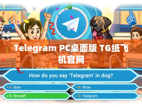 Telegram PC桌面版 TG纸飞机官网