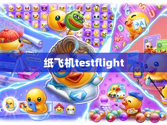 纸飞机testflight