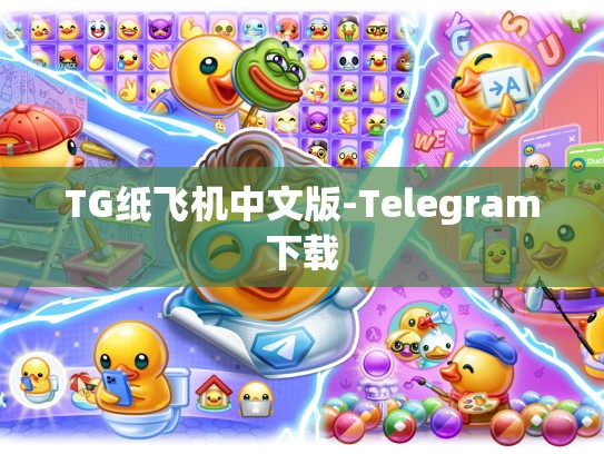 TG纸飞机中文版-Telegram下载