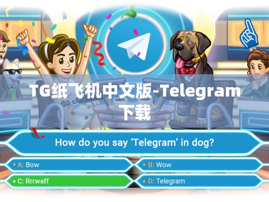 TG纸飞机中文版-Telegram下载