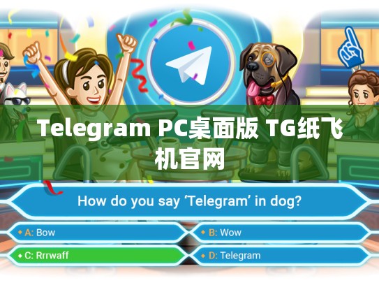 Telegram PC桌面版 TG纸飞机官网