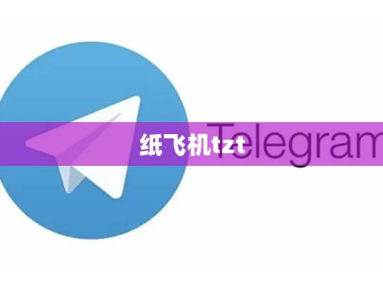 纸飞机tzt