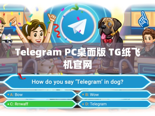 Telegram PC桌面版 TG纸飞机官网