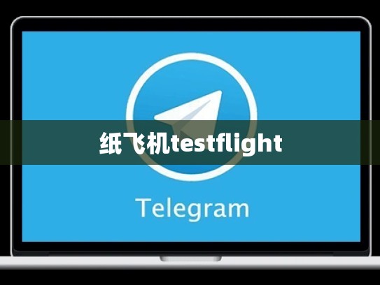纸飞机testflight
